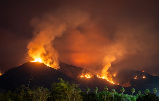 Wildfire Project Image